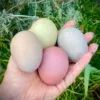 Pretty in Pastel Rainbow - PRE SALE