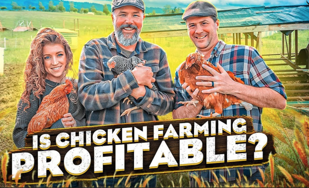 hens for sale near me